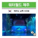 애니카랜드서귀포지점 | 제주 남쪽 가볼만한곳 서귀포 볼거리 실내 관광지 워터월드