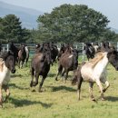 초지축산 이미지