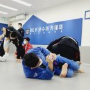 최저 가격 고퀄리티 싸움기술 수업 죽동 도룡동 하기동 지족동 만년동 추목동 MMA 격투기 유도 합기도...