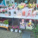 만종의원 이미지