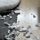 pet109더9730 | 강아지 이갈이 장난감 추천 베러본 리얼 후기💥