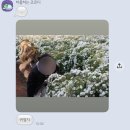 [5-1] 끔찍한 일이 될 거야 darling