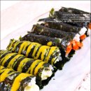 맘꼬마김밥 이미지