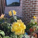 진도해안로민박 이미지