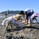 사구어촌체험마을(송지면 사구마을) 이미지