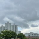 그리즈 이미지