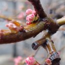 스테이 별채 이미지