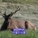 오브앤드