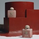 뿌리 철학B 이미지