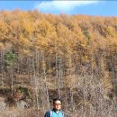 김현일세무사사무소 이미지