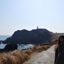 제주 겨울 4박5일 여행 후기 4일차 - 겨울사려니숲길&amp;성산맛집 뉴자연으로&amp;섭지코지 올레길&amp;성산...