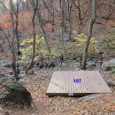 오서산자연휴양림 이미지