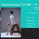랩스프로