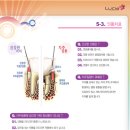 [잇몸치료/잇몸미백] 치주수술 후 주의사항 이미지