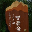 양구 DMZ펜치볼 트래킹 이미지