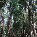 백양산 나들숲길 이미지