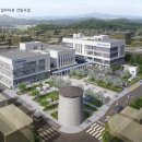 보령청과 이미지