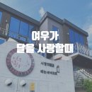 여우네주방 | 가평 풀빌라 여우가 달을 사랑할때 사랑의물결 객실 후기 내돈내산 가평숙소추천