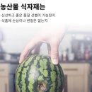 대승식품 이미지