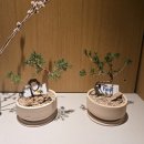 보태니컬 | 해슬리 햄릿 보태니컬 리커버리 프로그램 분재체험과 식사 후기