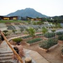 까사누아 이미지