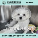 온하루 동물의료센터 이미지