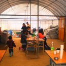 태완농장 이미지