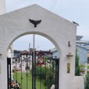 스테이 도토리 이미지