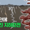 씨즈