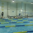 고창군 청소년수련관 실내수영장 이미지