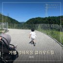 발산목장 | 가평 아이와 가볼만한곳 양떼목장 클라우드힐 샤스타데이지 주말 주차 꿀팁까지!