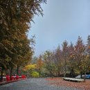 애플마루펜션 이미지