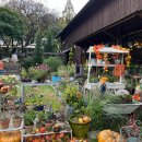 에그인형 놀기 이미지