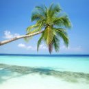 파라다이스 이미지