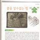 숯의힘 - 화성시 | 숯의힘