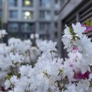 갈매천변 이미지