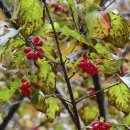 백석근린공원 이미지