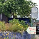 강동로6-10 이미지