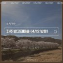 갈산면 운정마을회관 | [경기/파주] 파주 벚꽃 명소 '밤고지마을' 개화 상황 (4/12 방문)