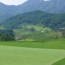 파가니카 C.C 이미지