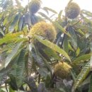 갯마을민박 이미지