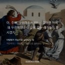 풍년슈퍼과일 | So I start a 시험공부 from my bed