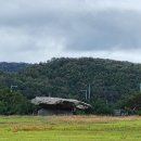 왕골공예가는길 | 강화나들길 18코스(왕골공예마을 가는 길)