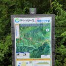 [정기 산행사진] 치악산둘레길 6코스 매봉산자락길_2021.08.18(수) 이미지