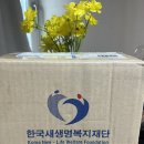 새생명의료재단 | 한국새생명복지재단 파란천사 서포터즈 수료 후기💭