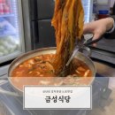 정 | 광주 쯔양맛집 대인동 금성식당 / 김치전골 후기