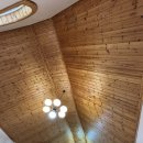 음악이흐르는숲 | [평창숙소] 숲속힐링되는 공간, 평화로운 고양이들. 비까지 온다면..? 극락이잖아;; - 음악이 흐르는 숲