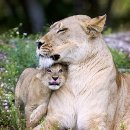 다정의원 이미지