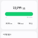 (주)팬스타트리(담) | 일본 도쿄 3박 4일 여행 ✈️ (1) 스카이트리, 도쿄타워
