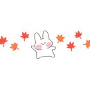 자연과식물원예연구소 이미지